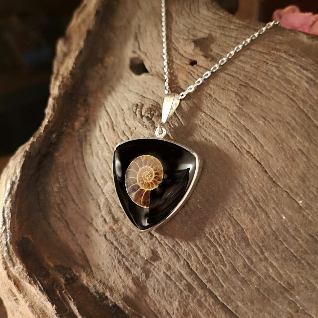 Large Triangle Ammonite Inlay - The Ebor Jetworks