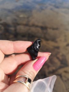 Black plastic A piece of black plastic found on the beach at Brunswick Bay