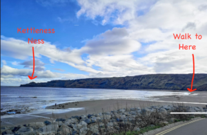 Runswick Bay Beach walk Where to find Whitby Jet