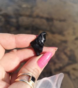 A Whitby Jet collector holds a piece of Tar