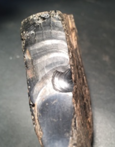 Sample of Whitby Jet showing a conchoidal fracture
