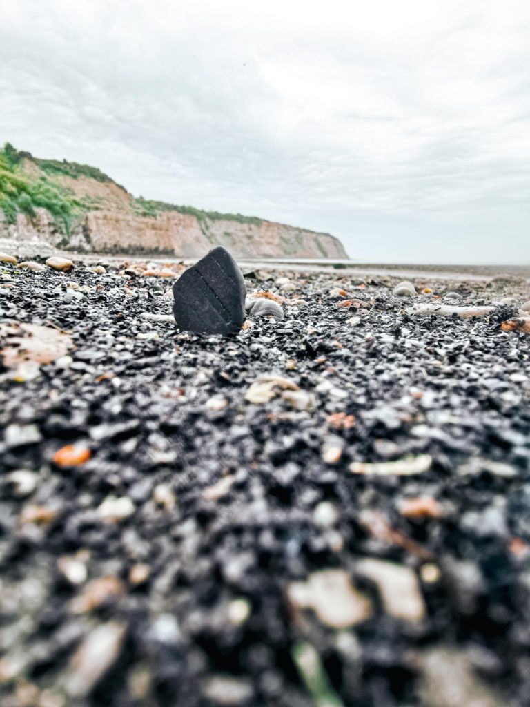 What is Whitby jet made from ?